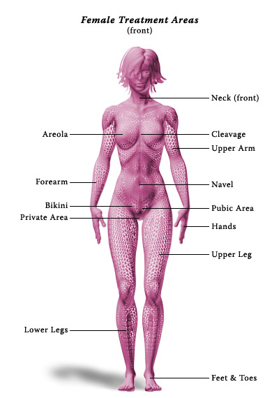 Treatment Areas - Female Front